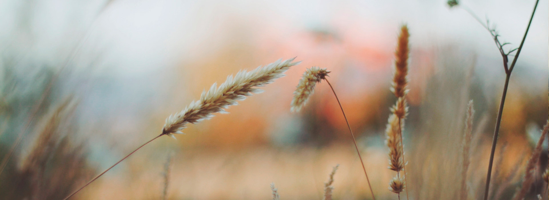 超强动力持续的手机号在线压测平台